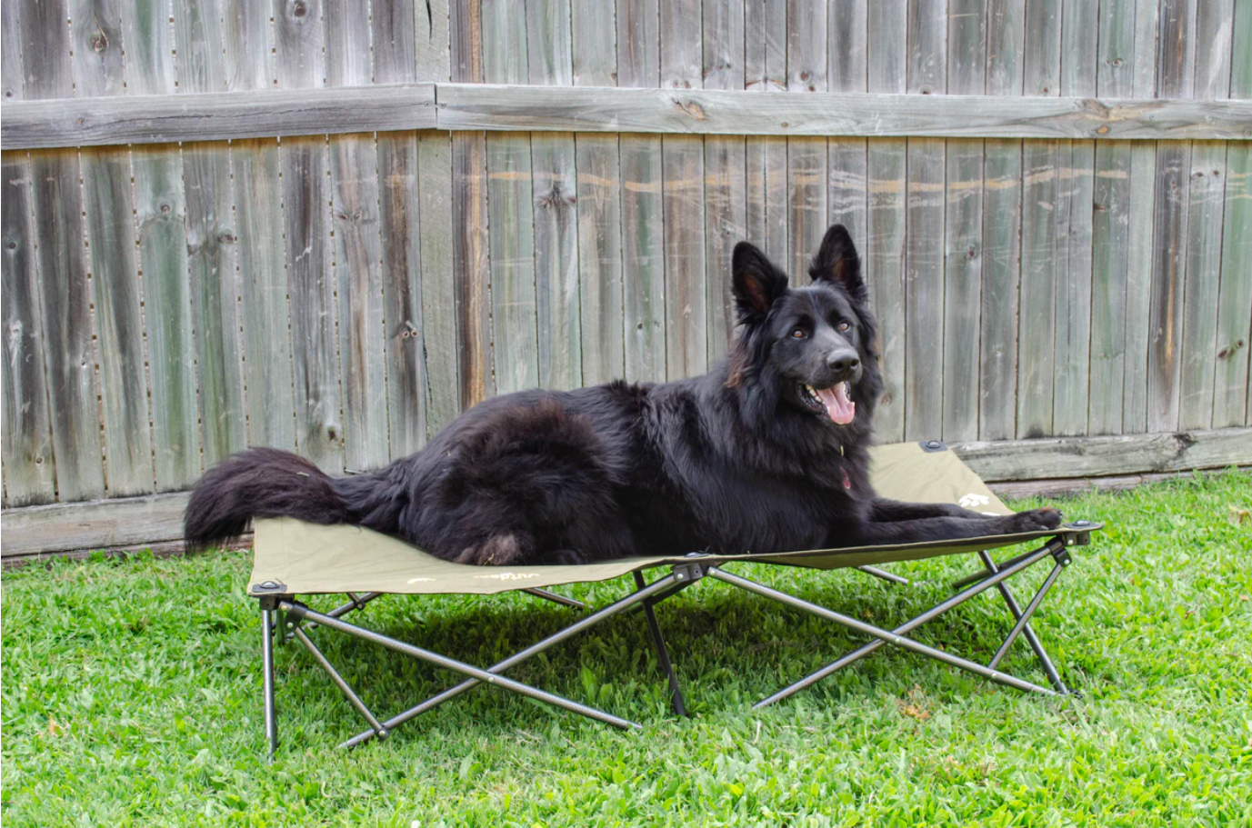 Outdoor Connection Folding Dog Bed - Image 2