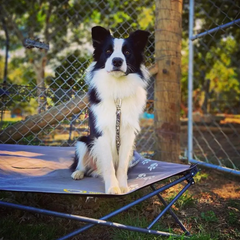 Outdoor Connection Folding Bed