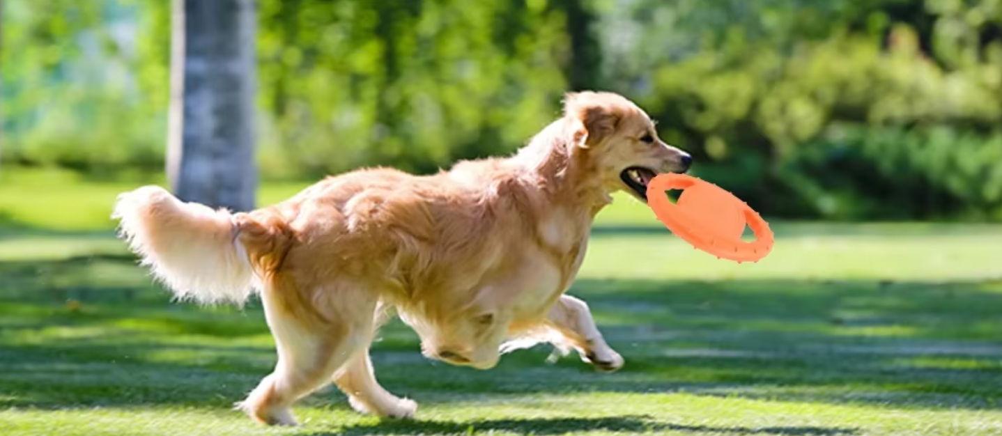 Floating Flying Frisbee Disc - Image 7