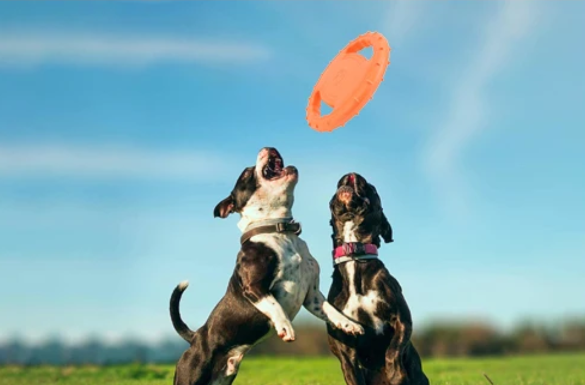 Floating Flying Frisbee Disc - Image 2