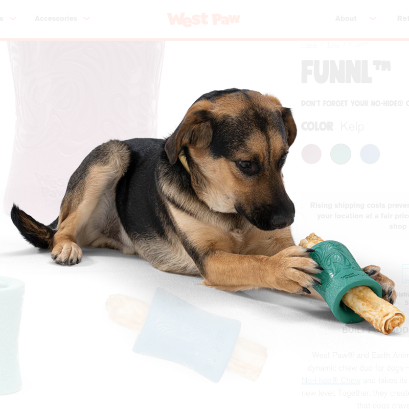 Westpaw™ Seaflex Funl Toy - Large - Image 5