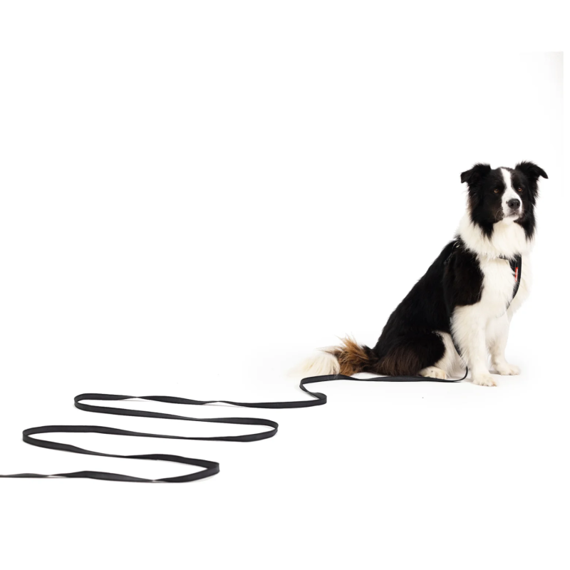 EzyDog™ Track N Train Lead 3m - Image 6