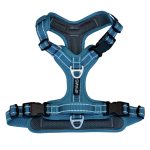Adventure Harness 2.0